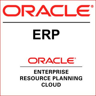 ERP Consulting